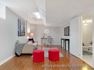 Image ViT 242580