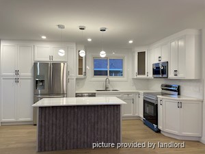 Image ViT 242585