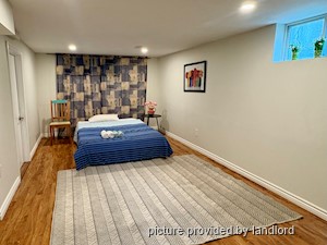 Image ViT 242590