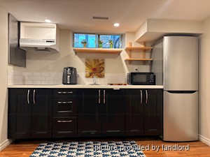 Image ViT 242590