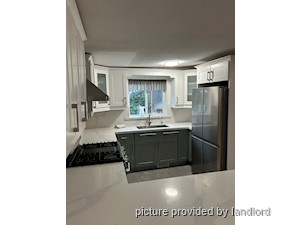 Image ViT 242591
