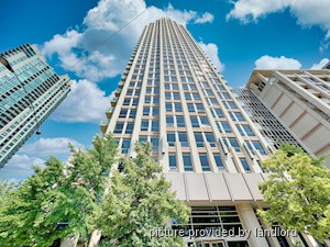 Image ViT 242593