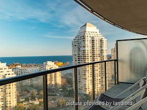 Image ViT 242601