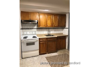 Image ViT 242630