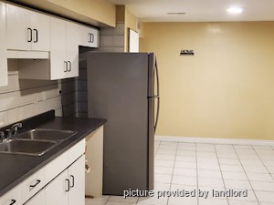 Image ViT 242636