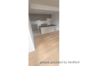 Image ViT 242662