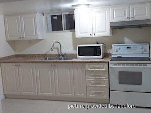 Image ViT 242663