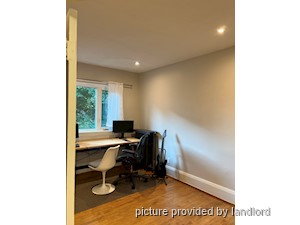 Image ViT 242671