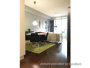Image ViT 242673
