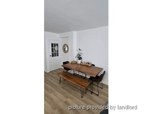Image ViT 242675