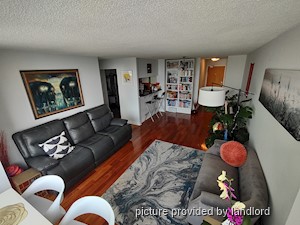 Image ViT 242676