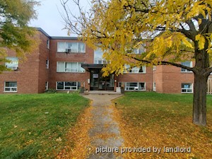 Image ViT 242680
