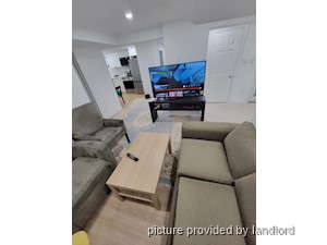 Image ViT 242684