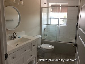 Image ViT 242685