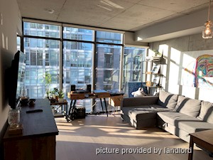 Image ViT 242689