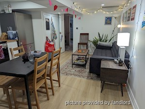 Image ViT 242696