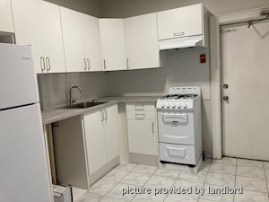 Image ViT 242698