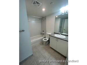 Image ViT 242701