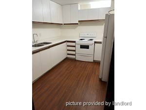 Image ViT 242702