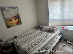 Image ViT 242710