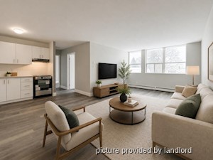 Image ViT 242855