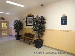 2 Bedroom apartment for rent in Fenwick