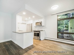 1 Bedroom apartment for rent in Vancouver