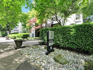 1 Bedroom apartment for rent in Vancouver