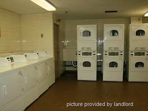 Bachelor apartment for rent in Scarborough