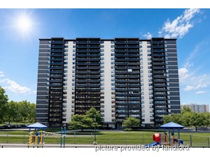 Image ViT 242949