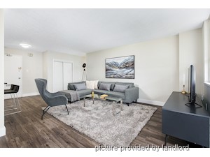 3+ Bedroom apartment for rent in Scarborough