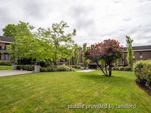 3+ Bedroom apartment for rent in New Westminster