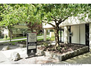 1 Bedroom apartment for rent in Vancouver