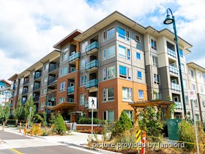 3+ Bedroom apartment for rent in North Vancouver