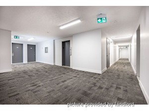 1 Bedroom apartment for rent in Scarborough