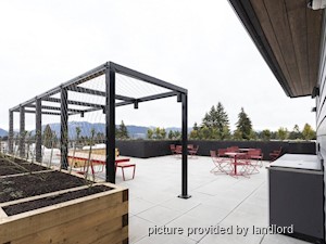 1 Bedroom apartment for rent in Coquitlam