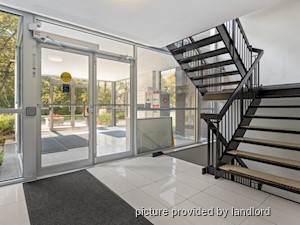 2 Bedroom apartment for rent in Kingston