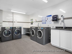 2 Bedroom apartment for rent in Kingston