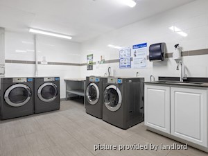 2 Bedroom apartment for rent in Kingston