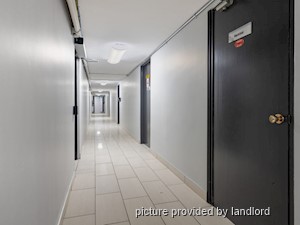 2 Bedroom apartment for rent in Kingston