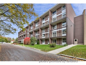 1 Bedroom apartment for rent in Kingston