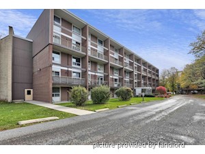1 Bedroom apartment for rent in Kingston