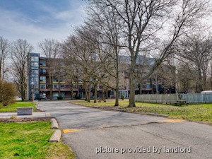 1 Bedroom apartment for rent in Kingston