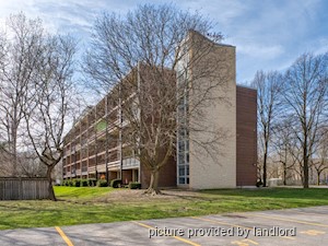 1 Bedroom apartment for rent in Kingston