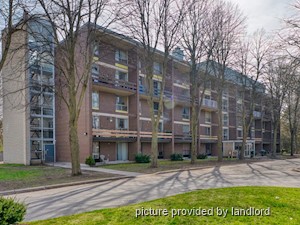 2 Bedroom apartment for rent in Kingston