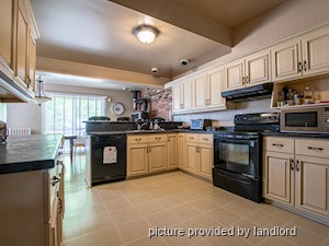 1 Bedroom apartment for rent in Kingston