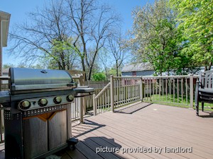 1 Bedroom apartment for rent in Kingston