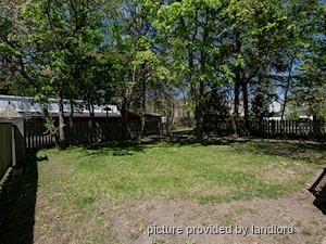 1 Bedroom apartment for rent in Kingston