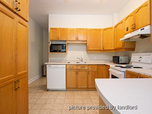 1 Bedroom apartment for rent in Kingston