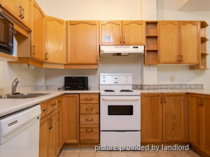 1 Bedroom apartment for rent in Kingston